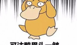 吃瓜猪娱乐学生请假,学生请假背后的故事揭秘